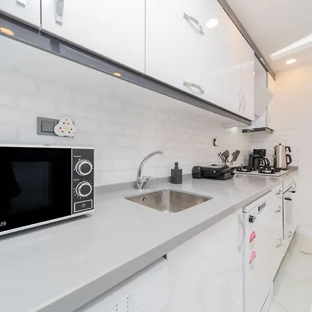 Fully Furnished Spacious Flat In Muratpasa Apartment